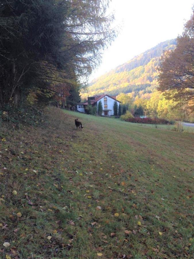Hotel Waldnest Odenwald Exterior foto